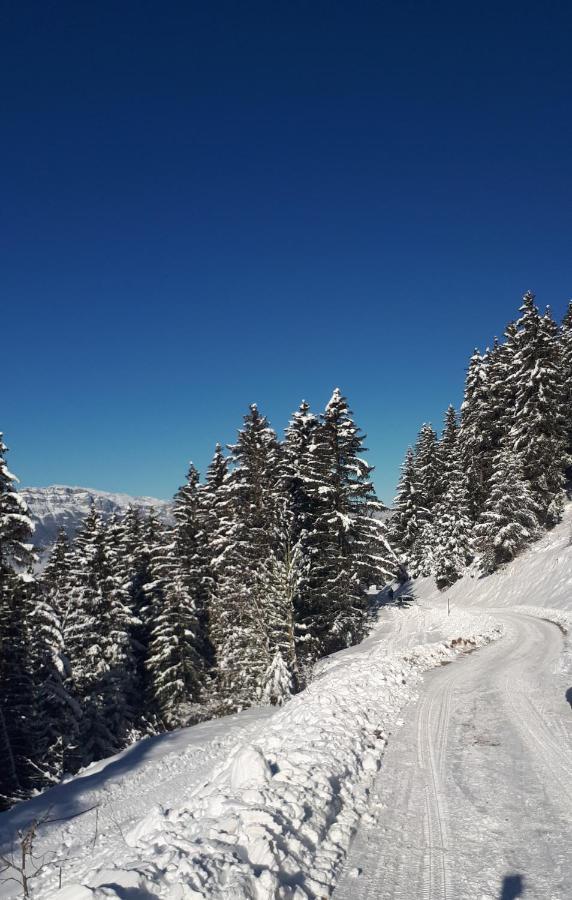 Vvf Les 7 Laux Massif De Belledonne Hotell Prapoutel Exteriör bild