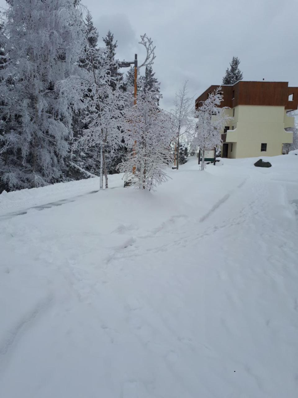 Vvf Les 7 Laux Massif De Belledonne Hotell Prapoutel Exteriör bild